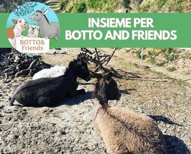 botto and friends